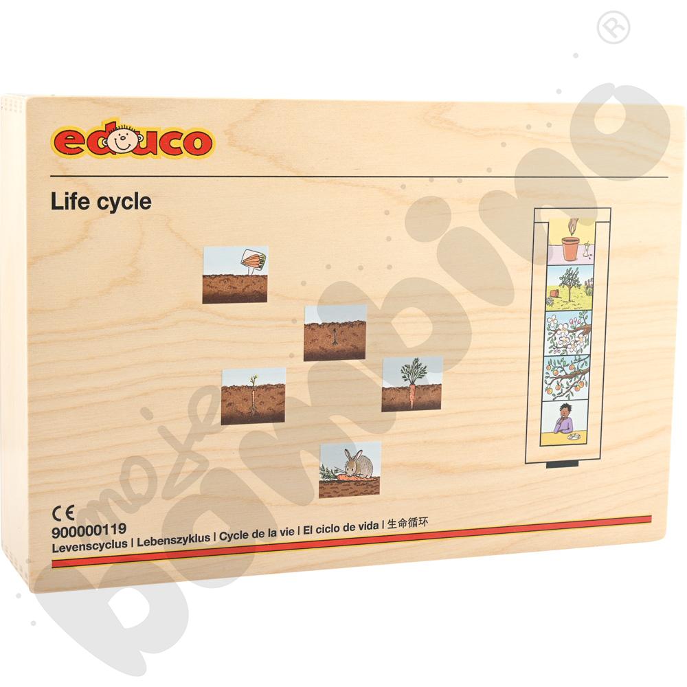 Cykl życia - człowiek, rośliny i zwierzęta - zestaw dla 2 os. Cykl życia - człowiek, rośliny i zwierzęta - zestaw dla 2 os.