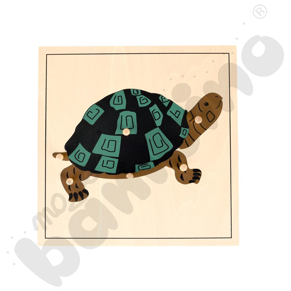 Żółw - puzzle
