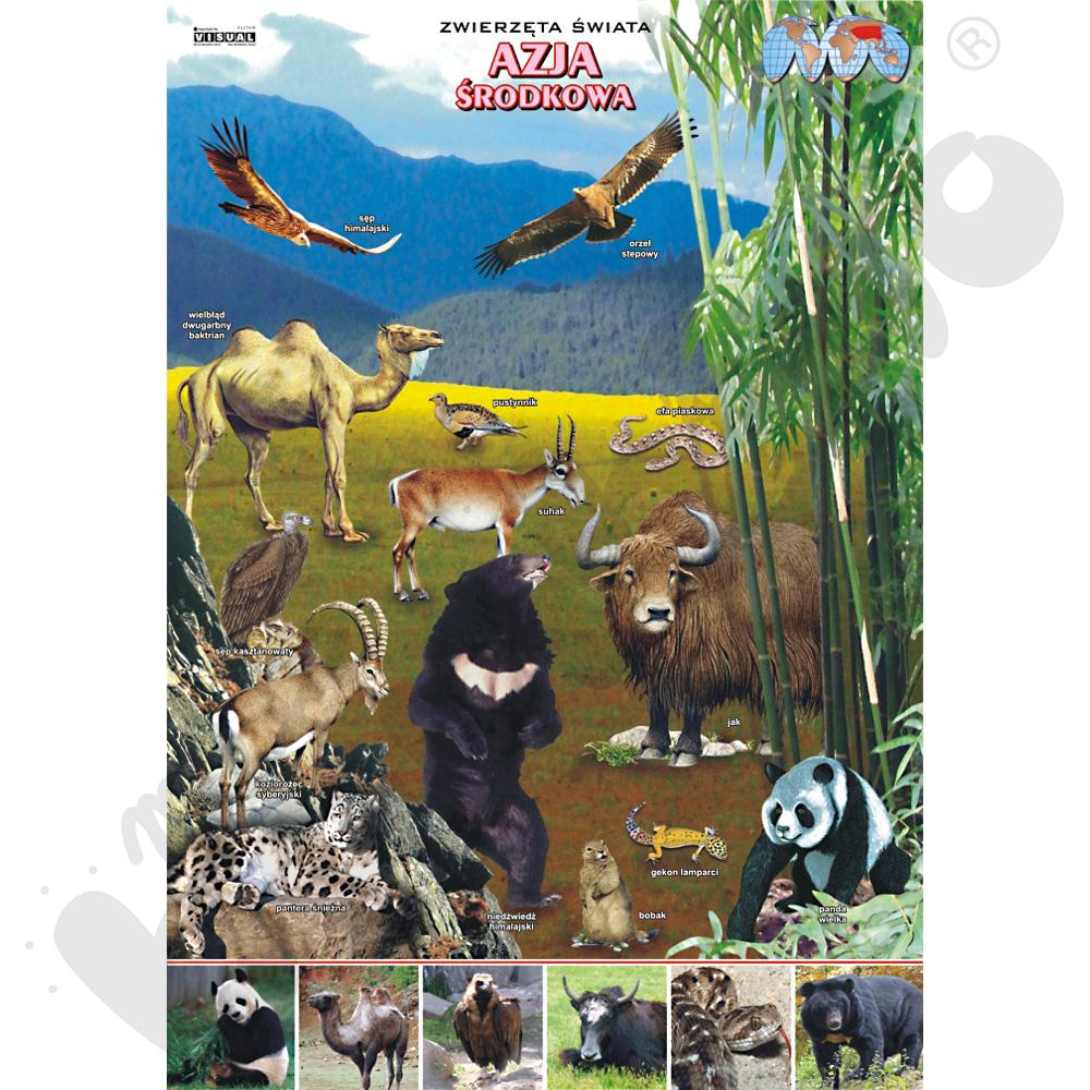 Plansza dydaktyczna - Azja Środkowa - zwierzęta