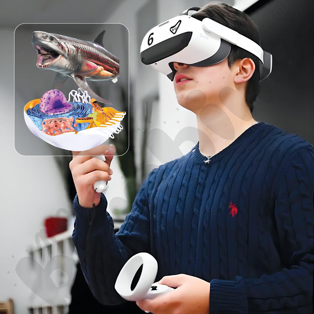 Zestaw: 6 x Gogle VR PICO NEO 3 Enterprise 256 GB z walizką ładującą