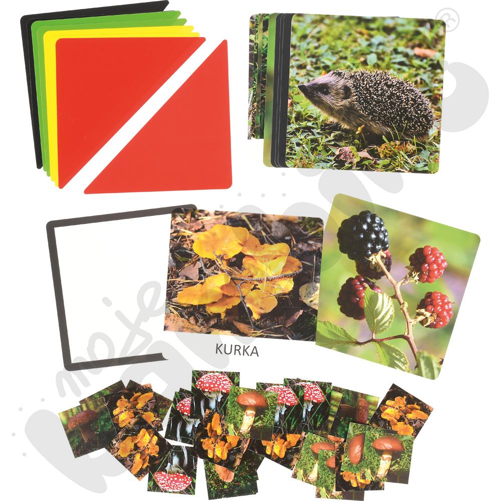 ABCD programowania - Jesień z Anatolem ABCD programowania - Jesień z Anatolem