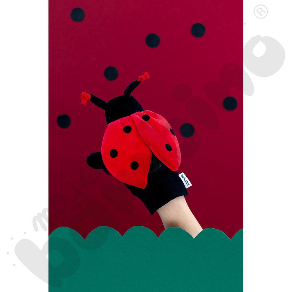 Rękawica pacynka – biedronka