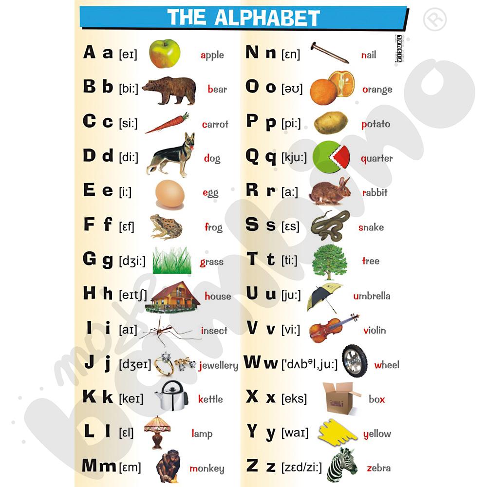 Plansza dydaktyczna - The alphabet