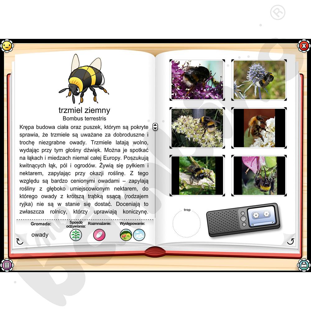 Mądrala na wsi – program multimedialny