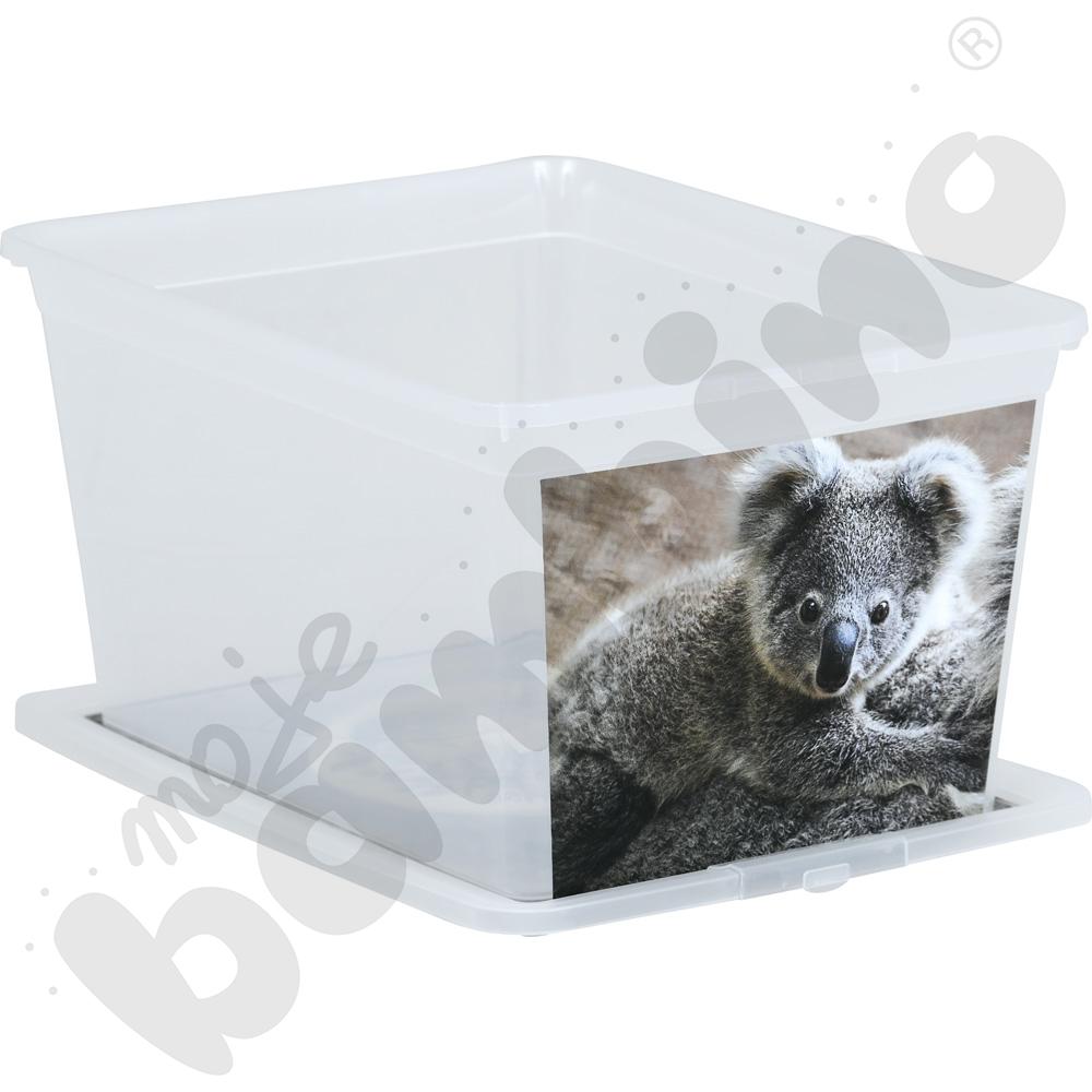 Pojemnik X-Box 30 L - koala