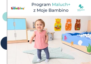 program MAluch + folder Żłobek Moje Bambino