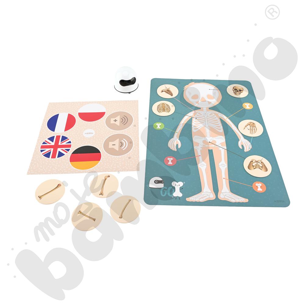 LOGI miniBot - szkielet człowieka