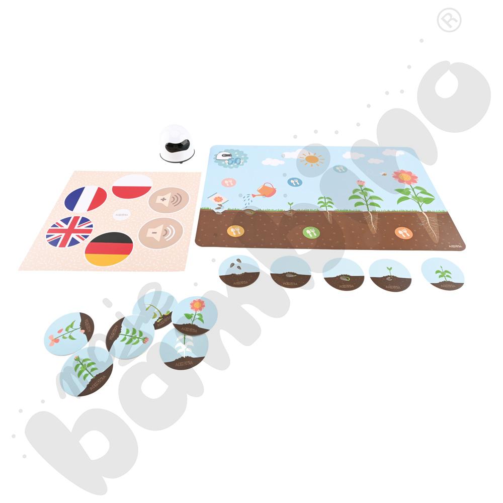 LOGI miniBot - cykl życia kwiatu