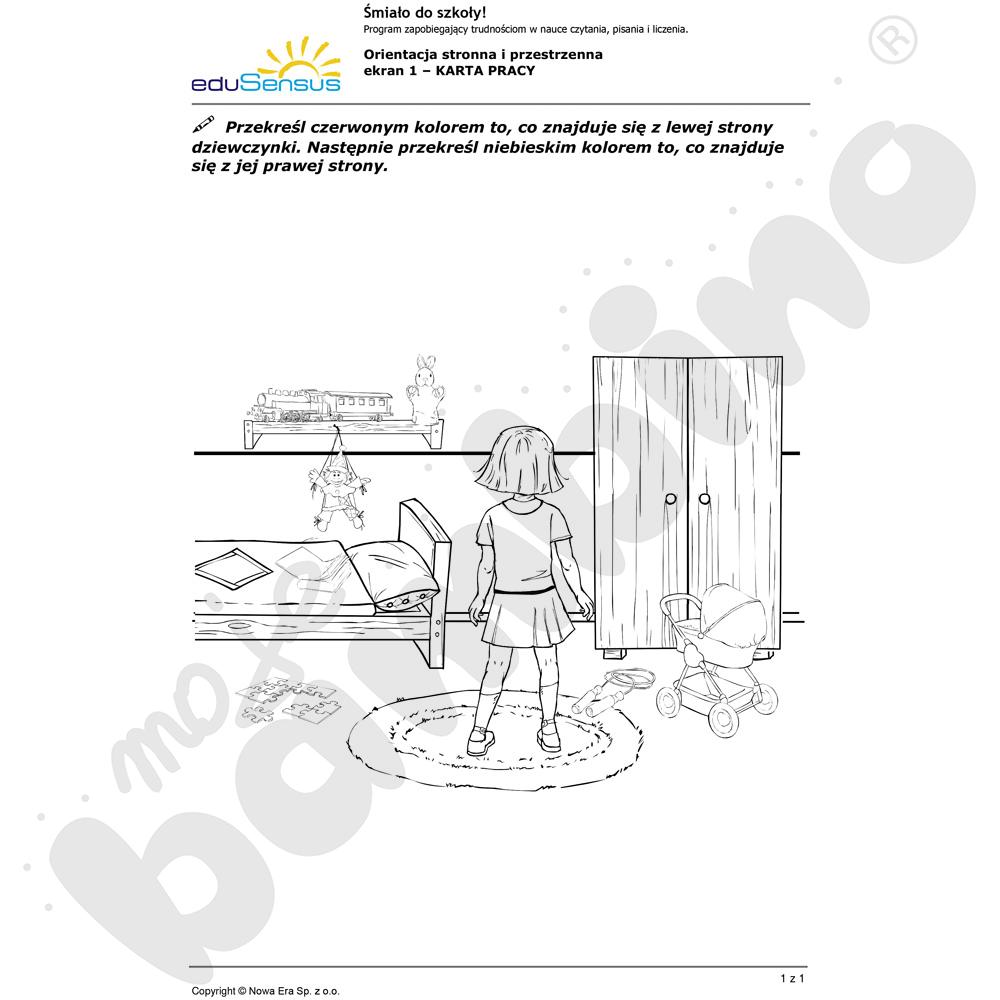eduSensus - Śmiało do szkoły! 