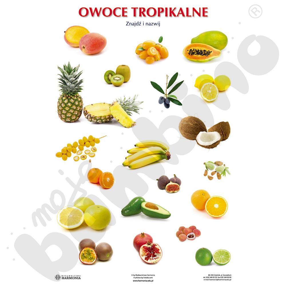 Dwustronna plansza tematyczna - Owoce tropikalne