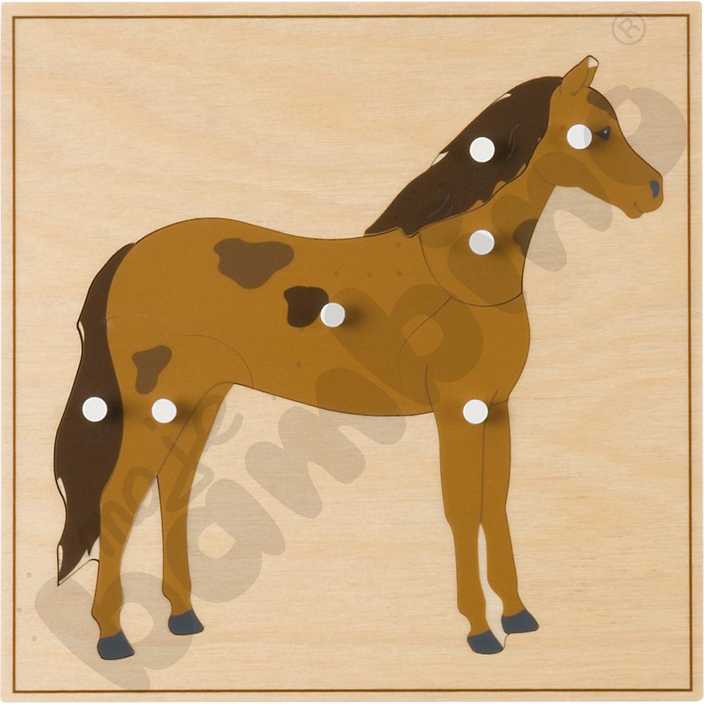 Puzzle ze zwierzętami - koń