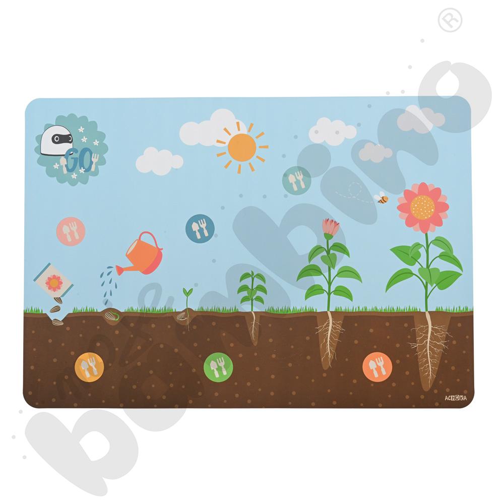 LOGI miniBot - cykl życia kwiatu