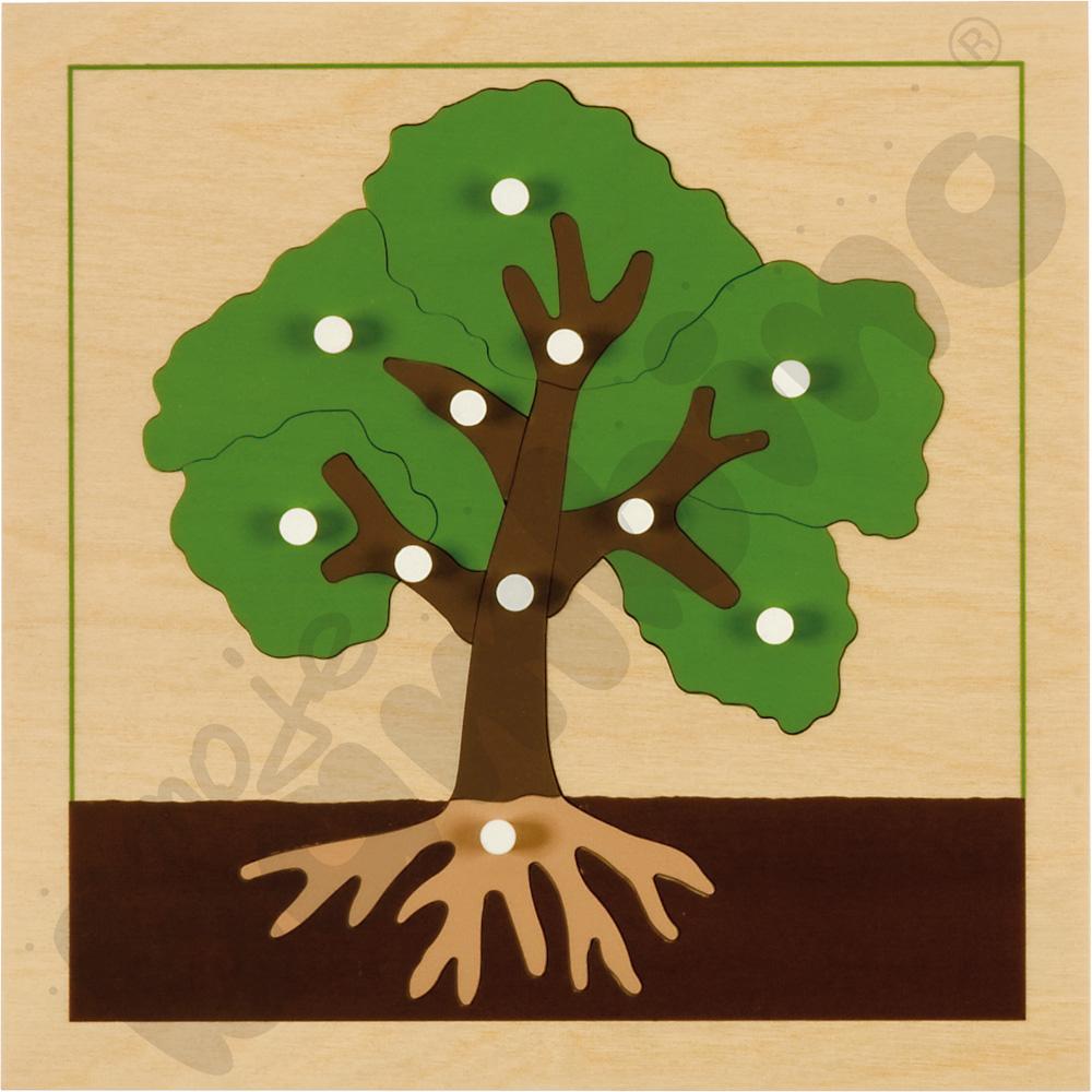 Puzzle botaniczne - drzewo