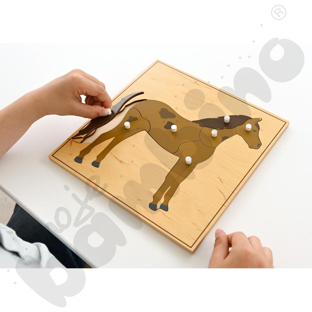 Puzzle ze zwierzętami - koń
