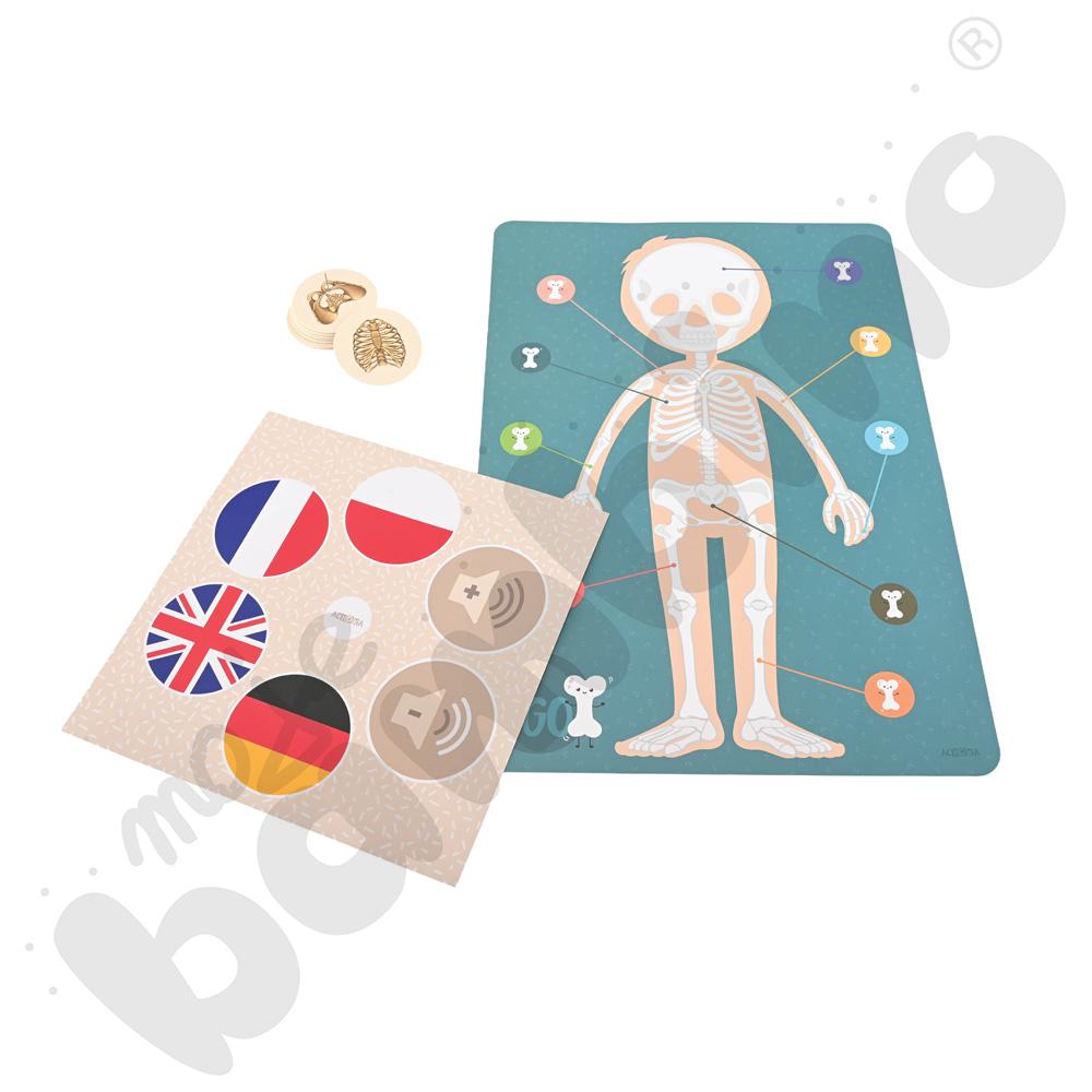 LOGI miniBot - szkielet człowieka