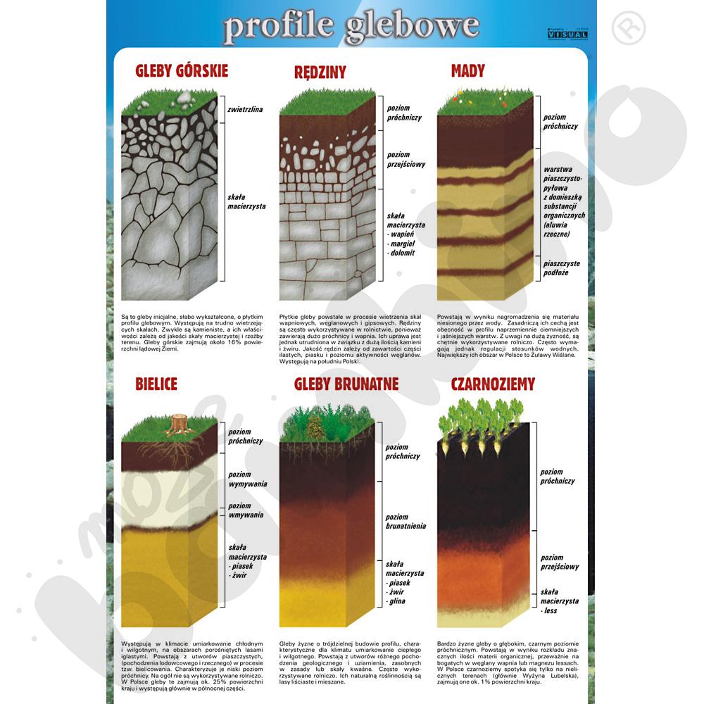 Plansza dydaktyczna - profile glebowe