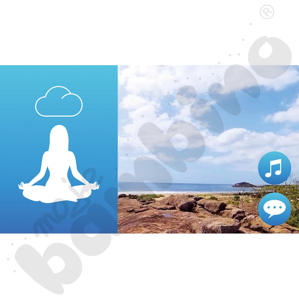 Gogle VR TierOne GO - PAKIET SINGLE CONTROL