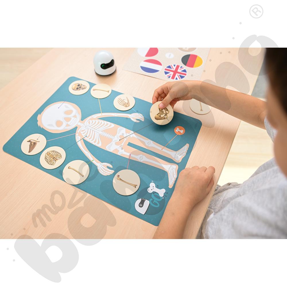 LOGI miniBot - szkielet człowieka