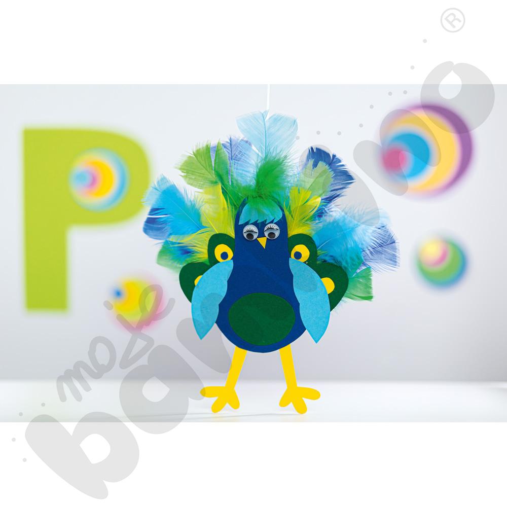 Kolorowe piórka