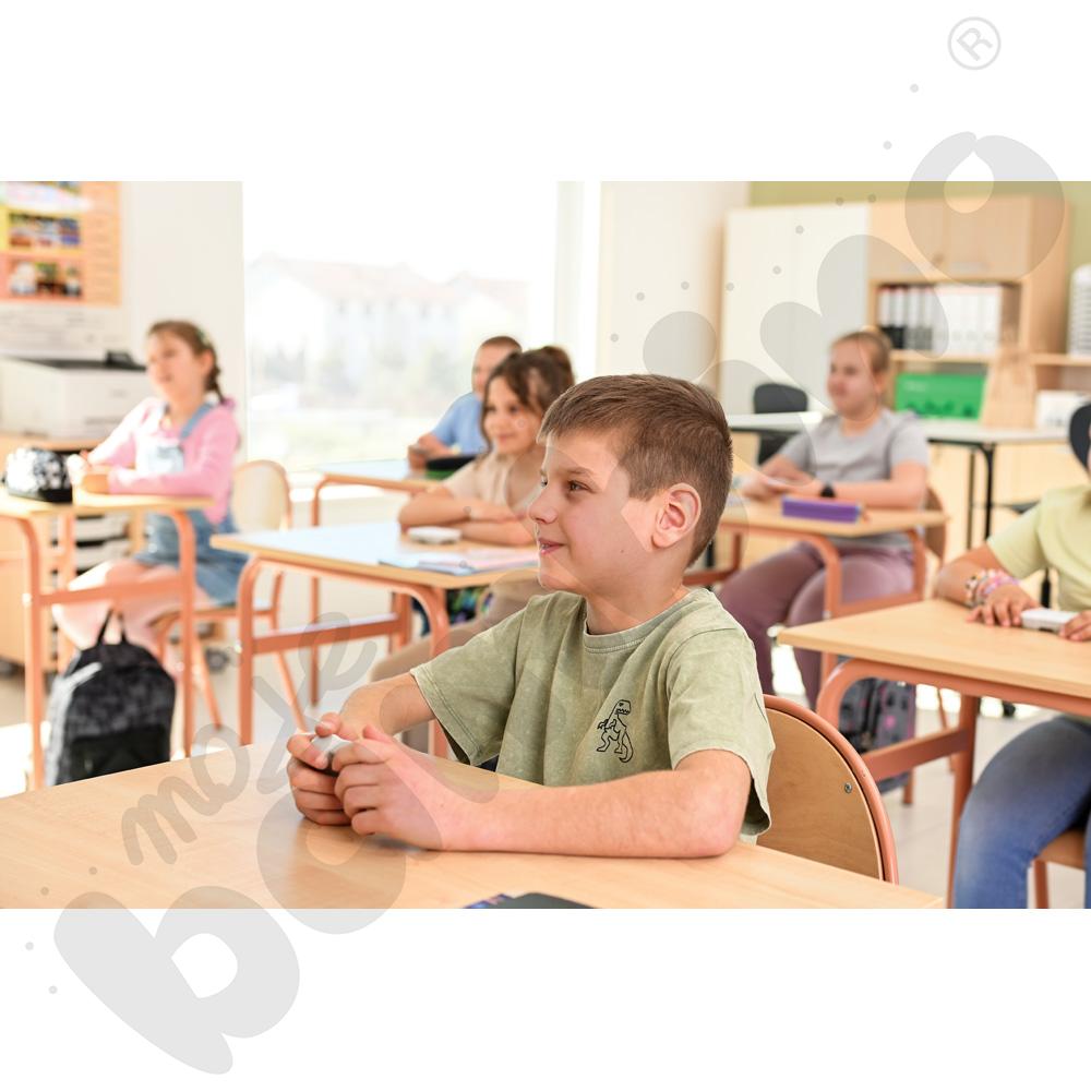 Inteligentna Klasa 20 (Classwise) - Specjalne Potrzeby Edukacyjne (SPE)