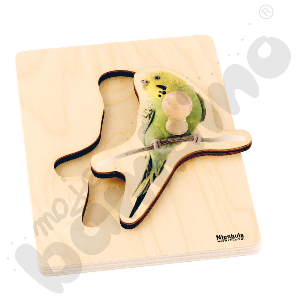 Puzzle dla malucha Montessori - papuga