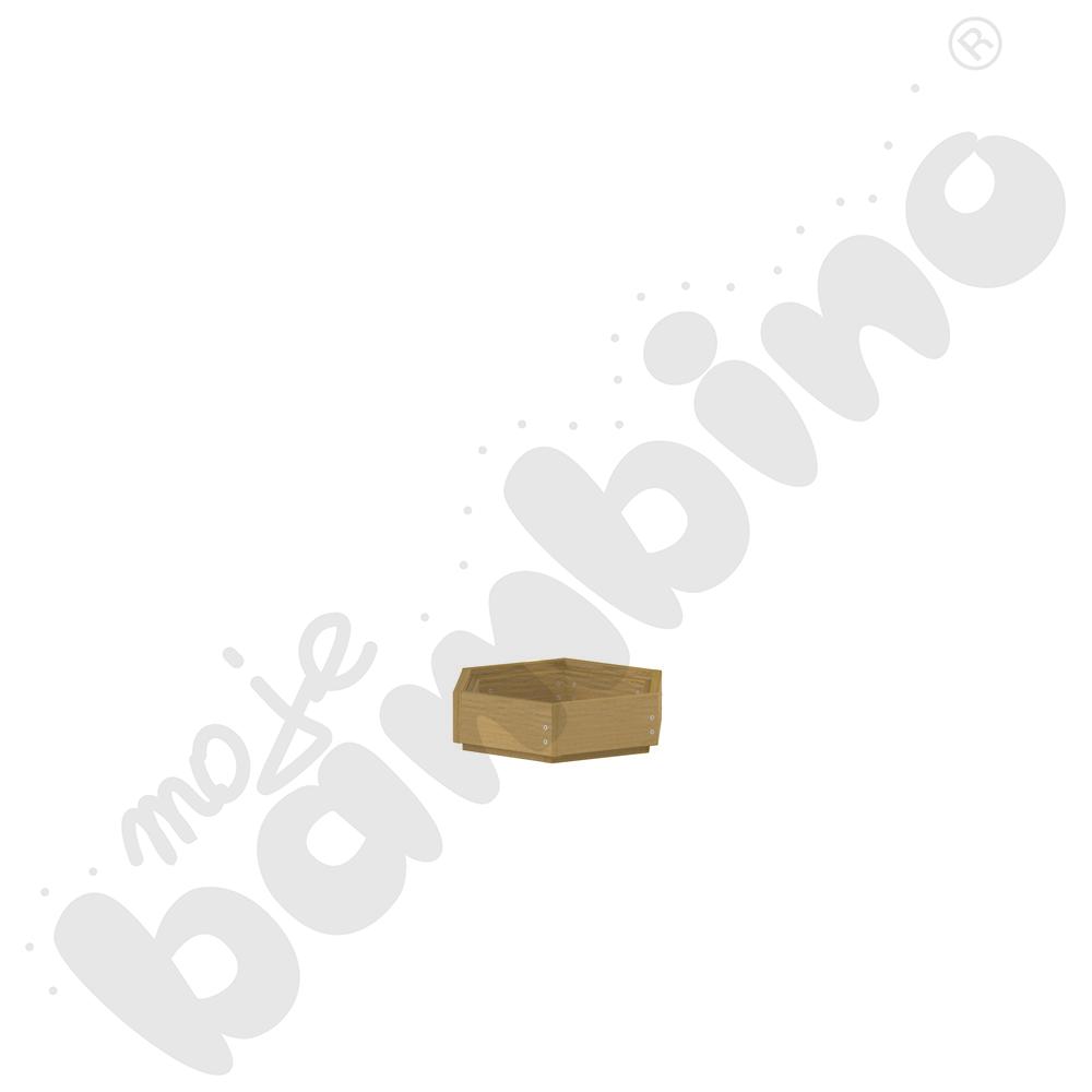 Sześciokąt sensoryczny Terra