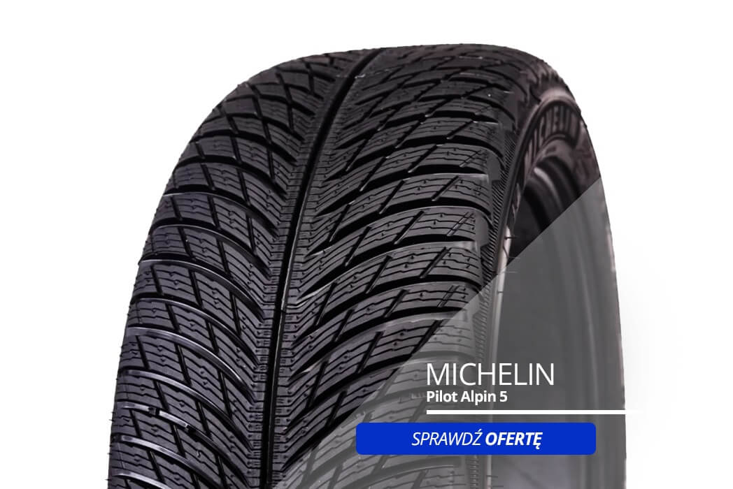 Michelin Pilot Alpin 5