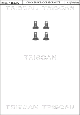 Śruba tarczy hamulcowej TRISCAN 8105 116004