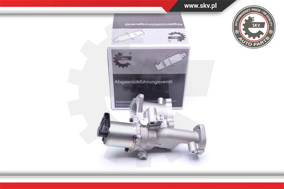 Zawór EGR ESEN SKV 14SKV167