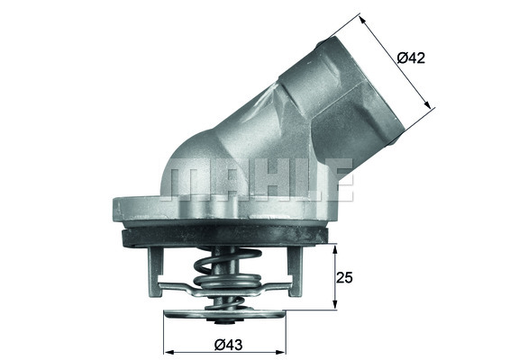 Termostat BEHR TI 45 87D