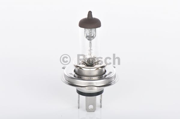 Żarówka BOSCH 1 987 302 441