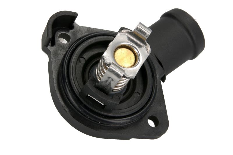 Termostat THERMOTEC D2T004TT