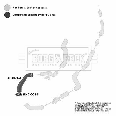 Przewód powietrza doładowującego BORG & BECK BTH1303