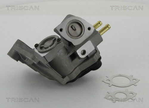 Zawór EGR TRISCAN 8813 29047