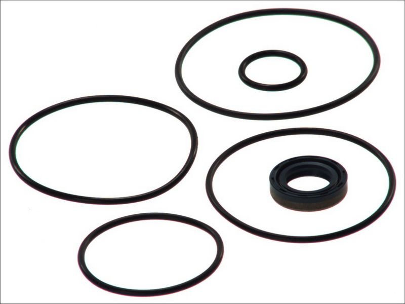 Pompa wspomagania DT SPARE PARTS 4.90064