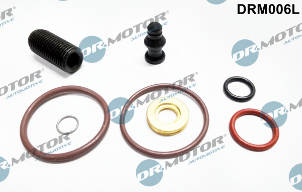 Zestaw naprawczy pompowtryskiwacza DR.MOTOR AUTOMOTIVE DRM006L