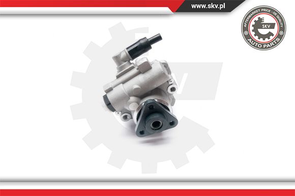 Pompa wspomagania ESEN SKV 10SKV224