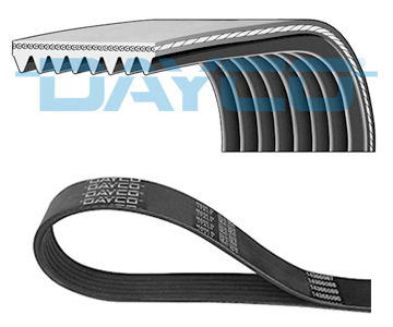 Pasek klinowy wielorowkowy DAYCO 8PK1240HD