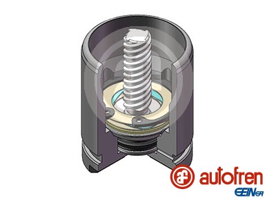 Tłoczek zacisku hamulcowego AUTOFREN SEINSA D025529K