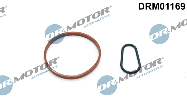Zestaw uszczelnień, pompa podciśnieniowa DR.MOTOR AUTOMOTIVE DRM01169