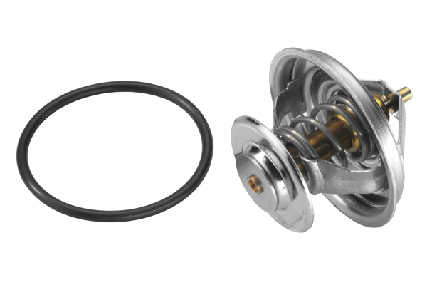 Termostat WAHLER 4105.79D