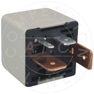 AIC 58110