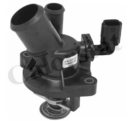 Termostat CALORSTAT BY VERNET TE6939.98J