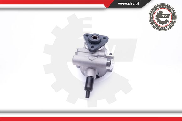 Pompa wspomagania ESEN SKV 10SKV258
