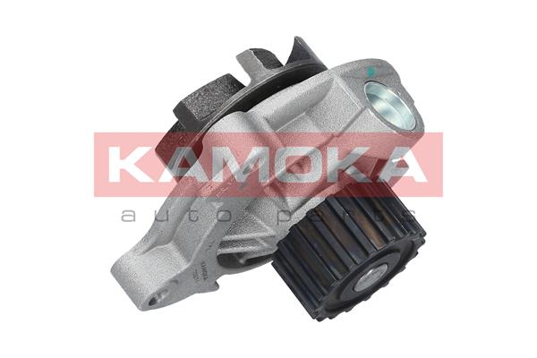 Pompa wody KAMOKA T0271