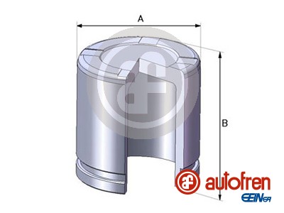 Tłoczek zacisku hamulcowego AUTOFREN SEINSA D02550