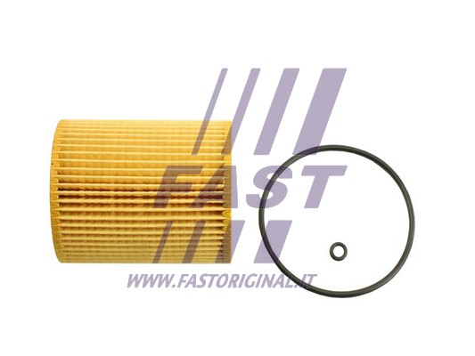 Filtr oleju FAST FT38101