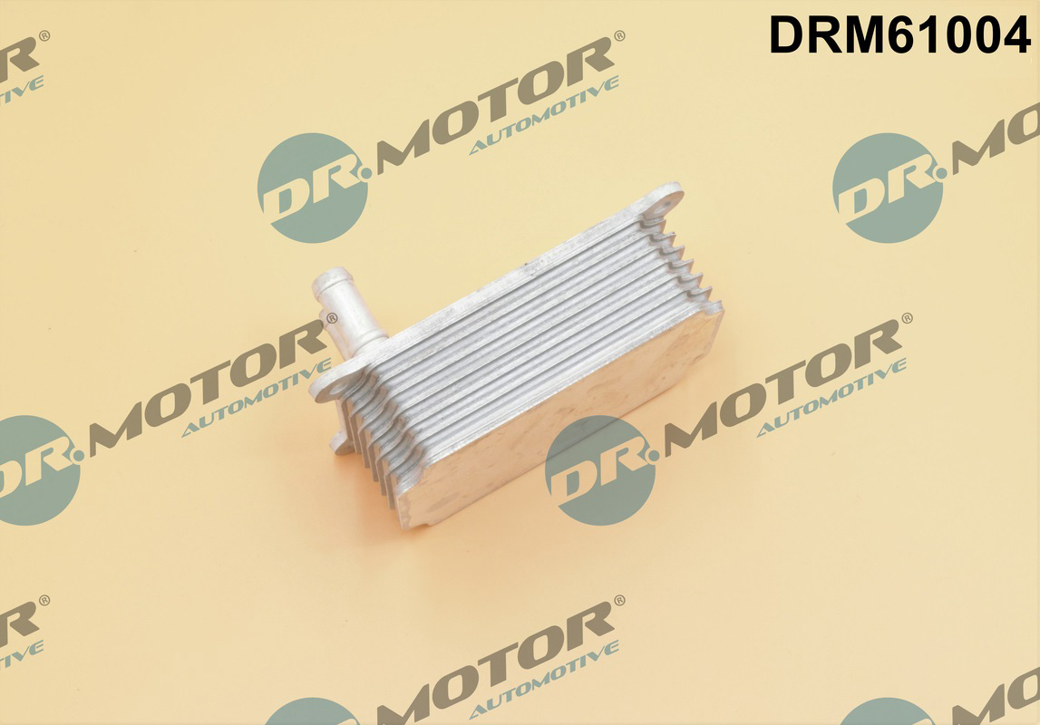 Chłodnica oleju silnikowego DR.MOTOR AUTOMOTIVE DRM61004
