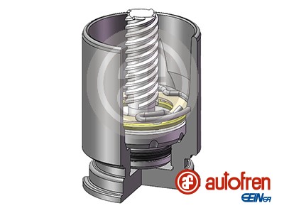 Tłoczek zacisku hamulcowego AUTOFREN SEINSA D02523K