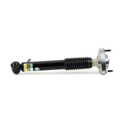 Amortyzator ARNOTT SK-3606